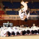 합기도 성무관 이미지