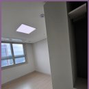 라프리모선부공인중개사사무소 이미지