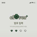 그린 클로버