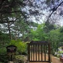 거창 항노화 힐링랜드 | 거창 가을 여행 필수코스 항노화 힐링랜드 Y자형 출렁다리 이용후기 &amp; 주차·소요시간