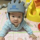 은실농장 | D+206일 ~ 212일 아기헬맷착용 / 홈플 일일문센 / 아이주도이유식 / 빨대컵 성공 / 중기이유식 시작