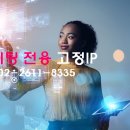 보나아이피 네이버블로그