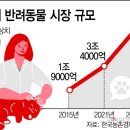 시드니동물병원 이미지
