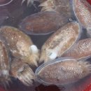 (주) 연안약품 이미지