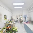 대봉초등학교 이미지