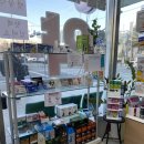 팜플러스약국 이미지