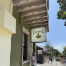 시드니 뉴타운 감성 카페, 캄포즈 커피(campos coffee) 뉴타운점 솔직 후기