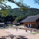 무위사 주차장 이미지