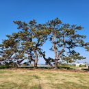 곰솔농장 이미지