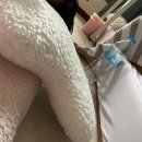 치킨플러스 정릉점 | 3학년 2학기 기록