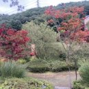 강당동 화장실 이미지