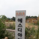 에스디아이(주) 이미지
