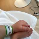 타임교육주 | 디어원산후조리원 마지막주 후기｜마사지교육·목욕교육 과 조리원비용 결제까지
