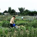 수원시농업기술센터 이미지