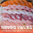 의정부 민락동 횟집 두툼한 대방어 모듬회 신선도 최고 오늘도횟집
