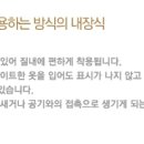 속초팔미