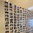 애견미용카페 보름별 이미지