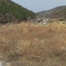 돌산읍사무소 이미지