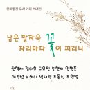 동문기획