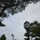 더힐컨트리클럽 이미지