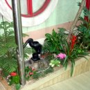 인동유치원 이미지