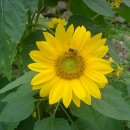 한천민박 이미지