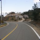 숲속정원 이미지