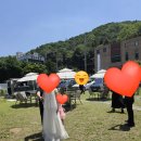 라온몽드 | 하객 입장에서 써보는 수원 <라온몽드 하우스> 스몰 웨딩식 후기 👰💐🤵