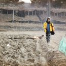 금곡1리 이미지