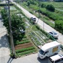 삼삼농장 이미지