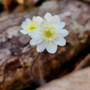 지랑마을 이미지