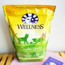 조이웰니스 이미지