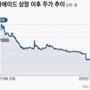 “이 정도면 사기 상장 아니야?” 1년만에 공모가 10분의 1토막... 분노한 위니아에이드 주주들 이미지