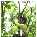 동막2리마을회관 이미지