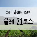 종달초등학교 | [제주/여행] 올레 21코스_완주후기/소요시간/난이도, 별방진, 지미봉, 카페책자국, 모뉴에트