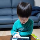 짱아PC 이미지