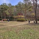 작은숲  어린이집 이미지