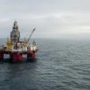 오션 캣 이미지