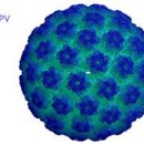 태을한의원 이미지