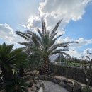 스톤 하와이 | 제주도 풀빌라 스톤하와이 사용 후기