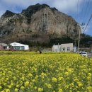 제주도 삼방산 ㅡ선녀의 사랑ㅡ 유채꽃밭ㅡ 삼방산 사찰 광명사ㅡ 삼방굴사ㅡ 삼방산 보문사ㅡ 이미지