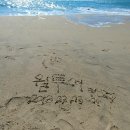 윌투어