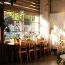 본 (BORN)95 이미지