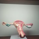 동백산부인과 진료 받아야하는 여성 질환과 증상
