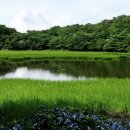 물영아리오름 이미지