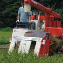 뱅뱅 홍성 이미지