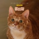 금동이PC 이미지