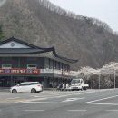 산성편의점 | [경상북도 문경 벚꽃 여행] 진남교반·고모산성 벚꽃 드라이브 코스｜진남휴게소 방문후기