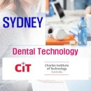 정DENTAL 네이버블로그