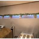 대박살롱 이미지